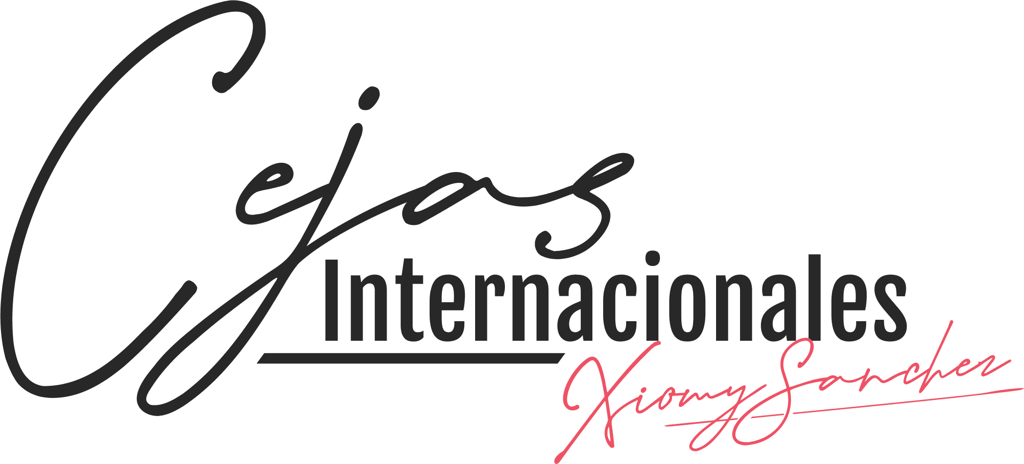 Logo de Cejas Internacionales