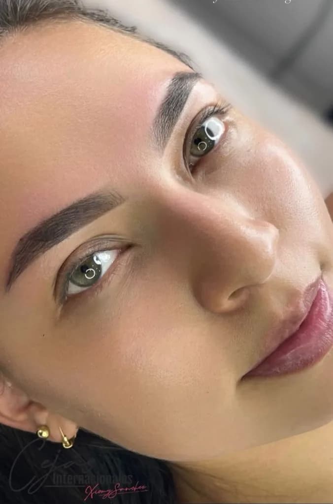 Cejas con sombreado en henna y diseño definido
